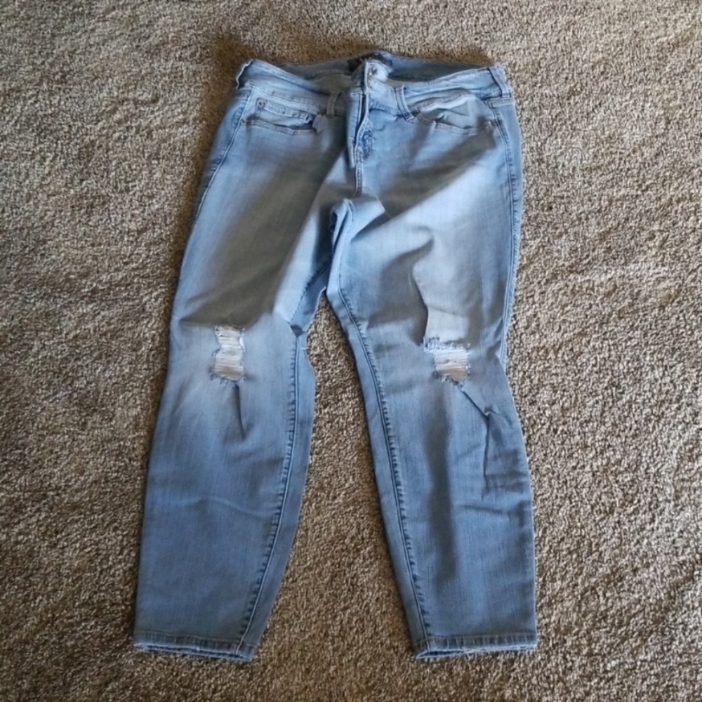 Torrid Jeggings